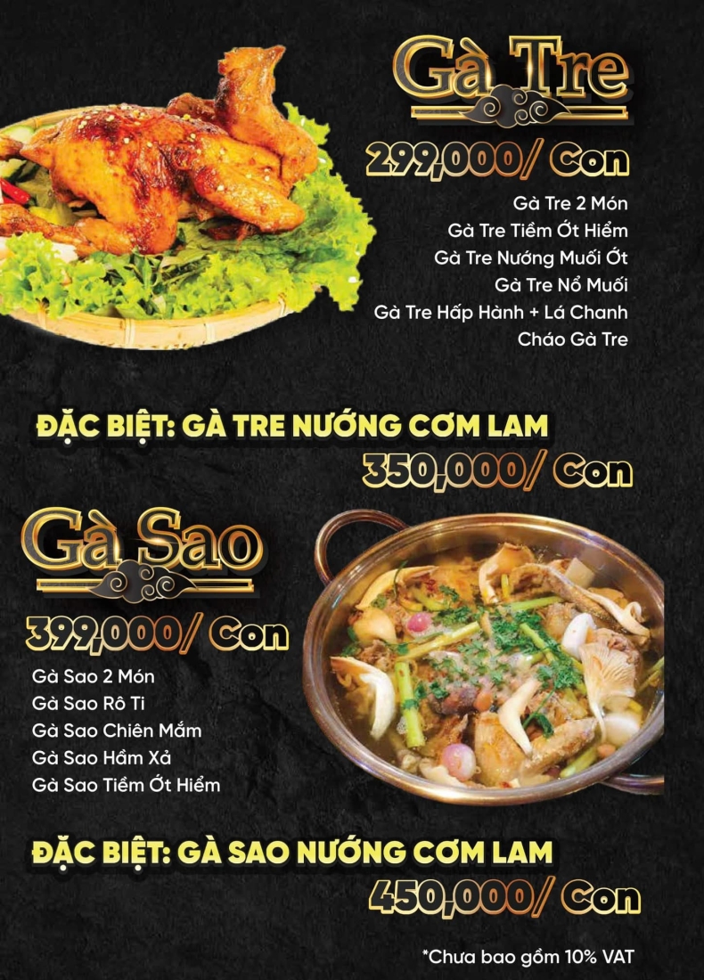 GÀ TRE - GÀ SAO